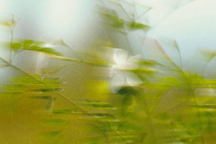 Patrimoine vivant et innovant